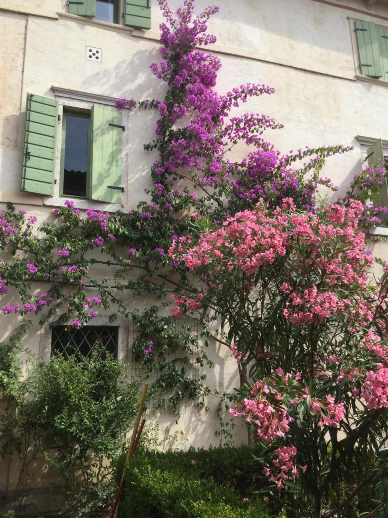 Villa Cisano Residenza D'Epoca Bardolino Zewnętrze zdjęcie