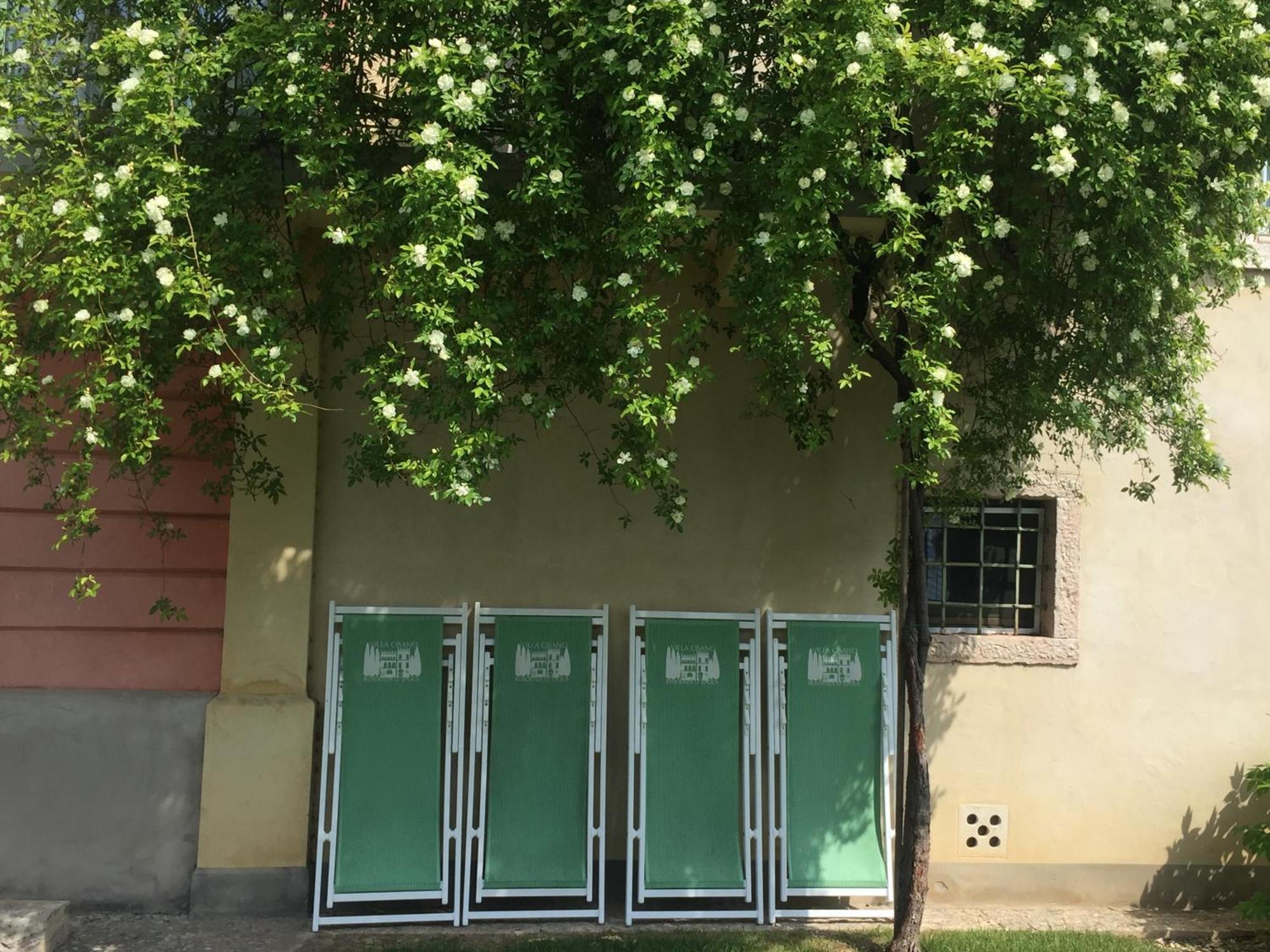 Villa Cisano Residenza D'Epoca Bardolino Zewnętrze zdjęcie
